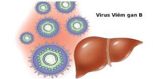 Kết quả xét nghiệm viêm gan B có kết luận được virus đang ngủ hay hoạt động không?